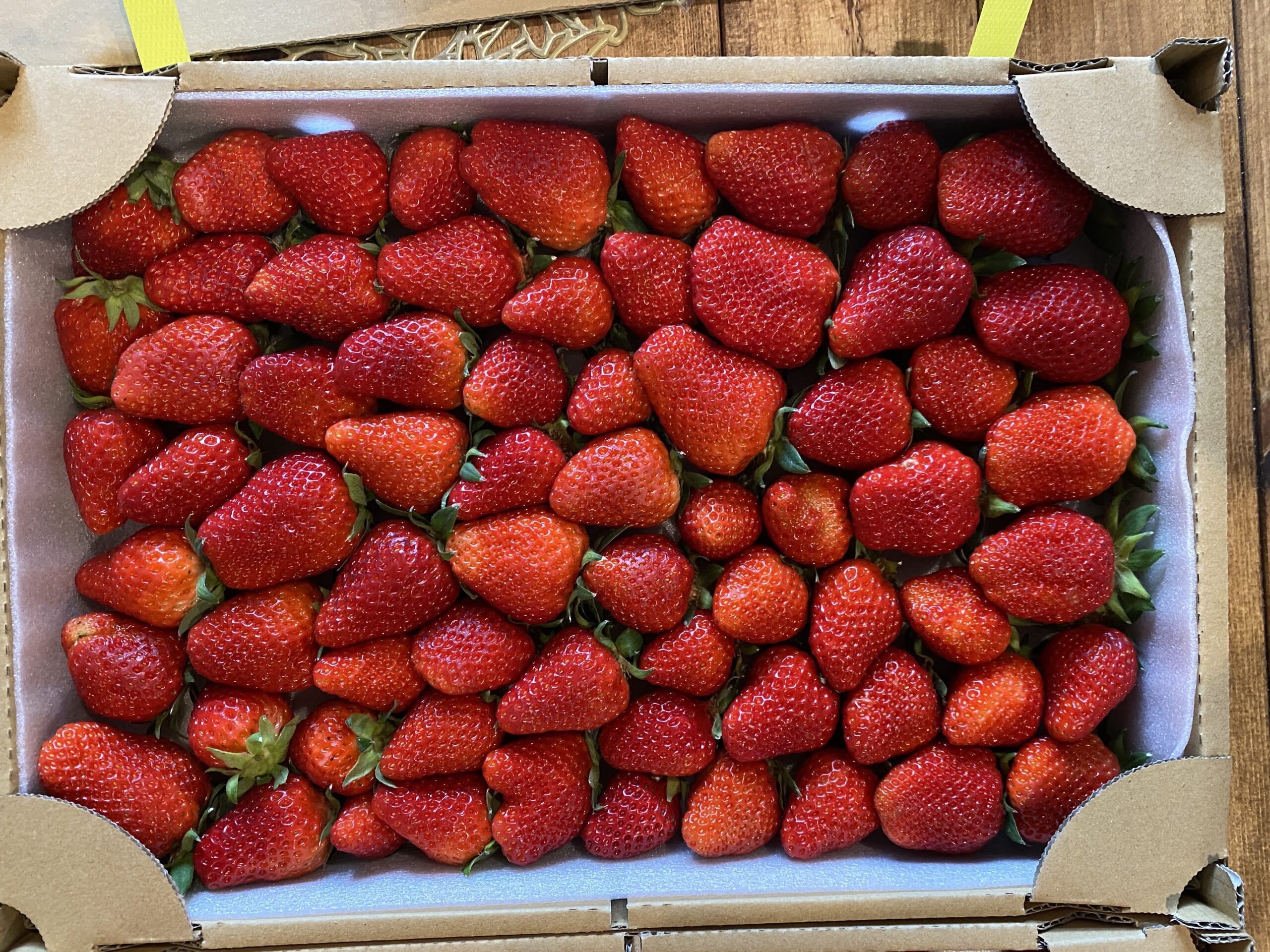 SDGs】規格外イチゴを活用し、フルーツロス削減を実現しつつ、集客の