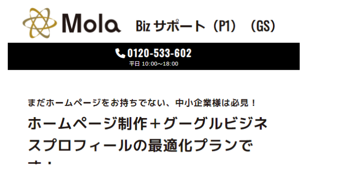Mola P1/GS 公式サイト：https://mola-p1.max-support.co.jp/